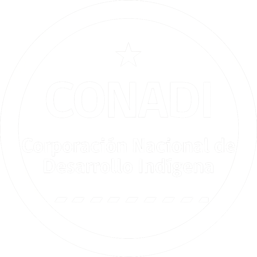 CONADI - Corporación Nacional de Desarrollo Indígena