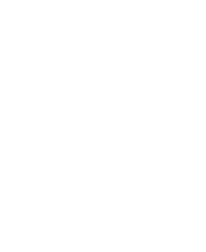 Tokošova Hydrovalv